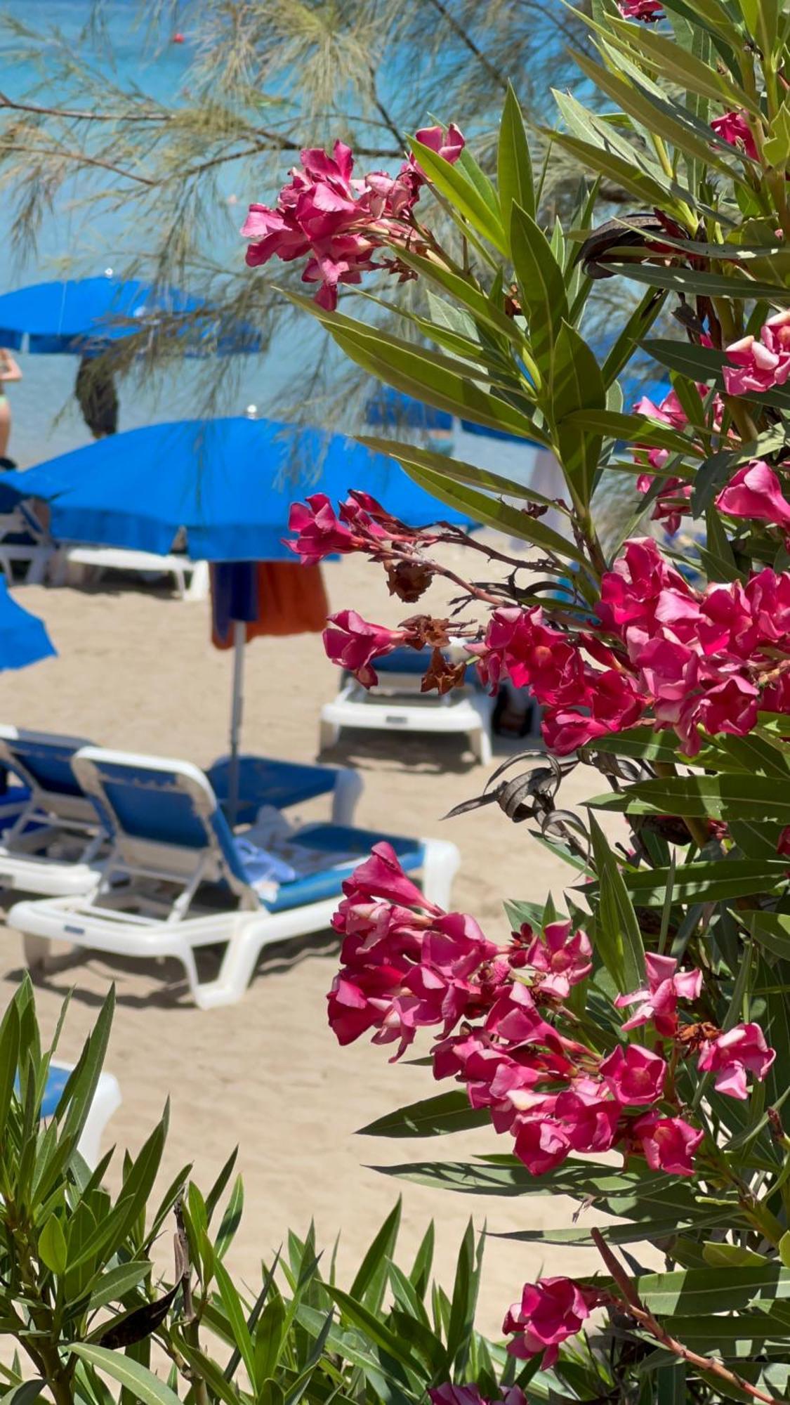 Adelais Bay Hotel Protaras Eksteriør bilde